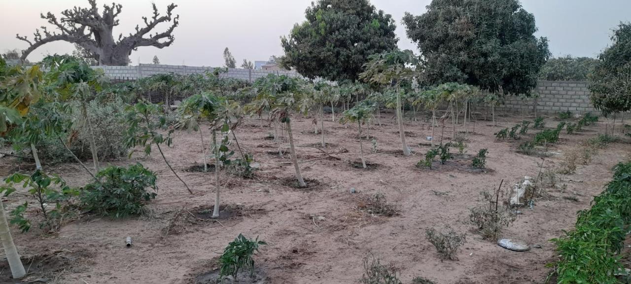 Saly Lrad Le Village Ngaring Exterior foto